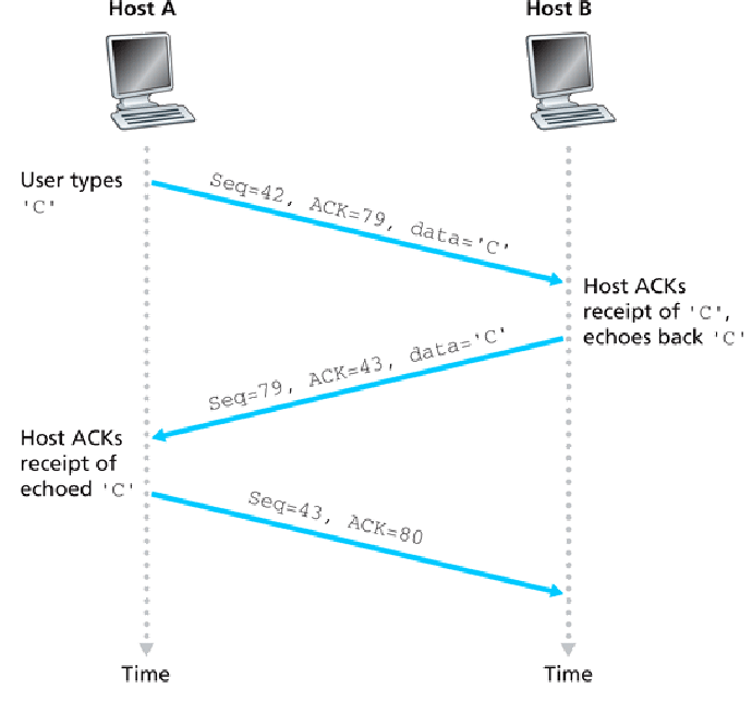 Tcp server windows. Хостинг схема. Виртуальный хостинг схема. Telnet TCP. Что такое хостингс схема