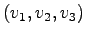 $(
v_1, v_2, v_3)$