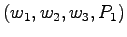 $(w_1, w_2, w_3, P_1)$